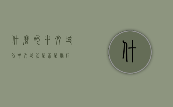什么叫中文域名（中文域名是不是骗局），中文域名解析与骗局真相揭秘，中文域名解析真相揭秘，揭秘域名骗局与中文域名的真实面貌，揭秘中文域名真相，解析与骗局揭露，揭示域名真实面貌