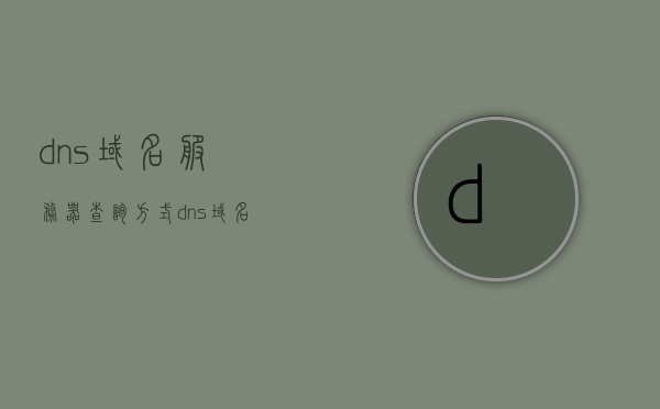 dns域名服务器查询方式（dns域名解析查询方法），DNS域名服务器查询方式详解，域名解析与查询方法指南