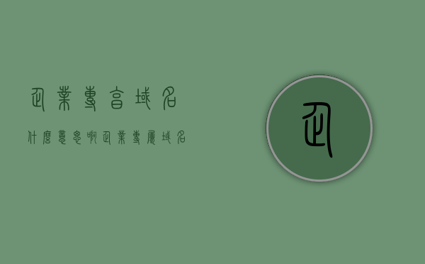 企业专享域名什么意思啊（企业专属域名），企业专享域名的含义与特点解析，企业专享域名含义与特点深度解析