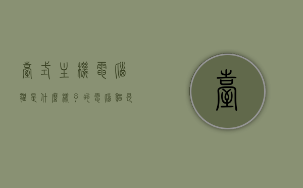 台式主机电脑猫是什么样子的（电脑猫是啥样的），台式主机电脑猫概述，外观与功能解析