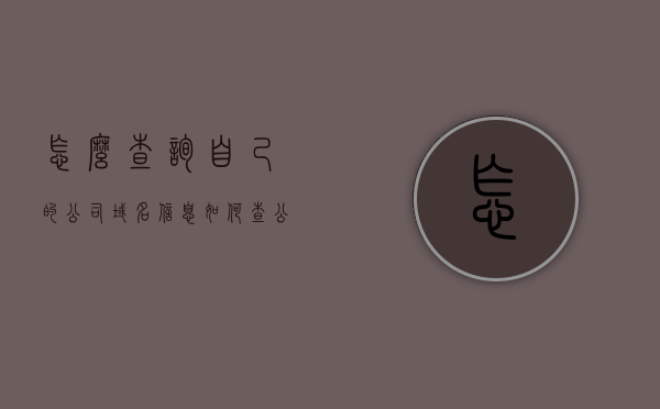 怎么查询自己的公司域名信息（如何查公司域名），如何查询公司域名信息？详细步骤解析