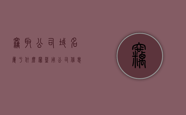 窃取公司域名属于什么罪（盗用公司信息注册域名），盗用公司域名行为的法律定性与罪名解析，盗用公司域名，法律定性与罪名解析