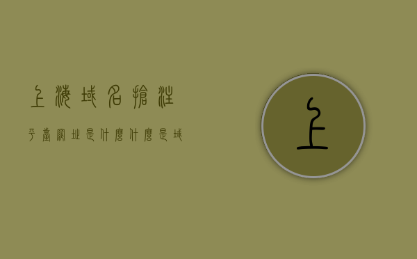上海域名抢注平台网址是什么（什么是域名抢注行为），上海域名抢注平台解析及网址大全，抢注行为详解与网址导航