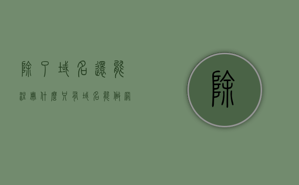 除了域名还能注册什么（只有域名能做网站吗），除了域名，还能注册什么？网站搭建不只依赖域名！，除了域名，还能注册什么？网站搭建的多元要素解析，除了域名，网站搭建的多元要素解析，除域名外还能注册哪些元素？