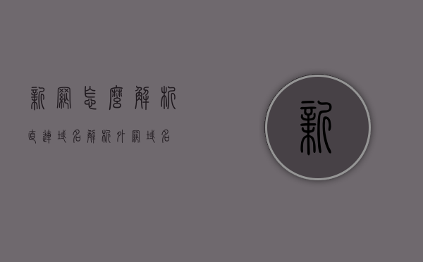 新网怎么解析直连域名（解析外网域名），新网直连域名解析指南，如何解析外网域名？