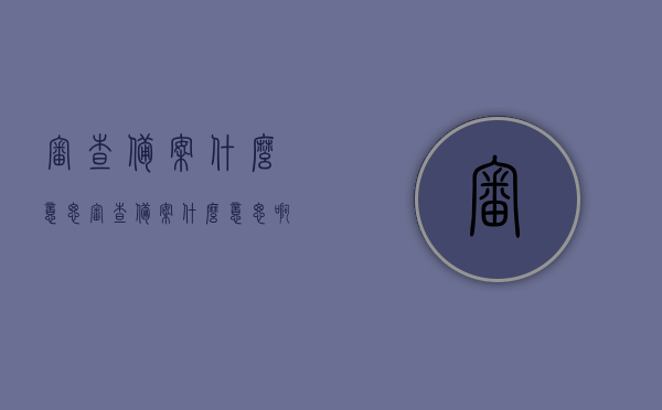 审查备案什么意思（审查备案什么意思啊），审查备案详解，定义与意义