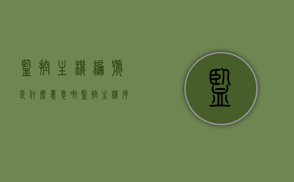 监控主机编号是什么意思啊（监控主机序列号在哪里），关于监控主机编号与序列号，解析与查找指南