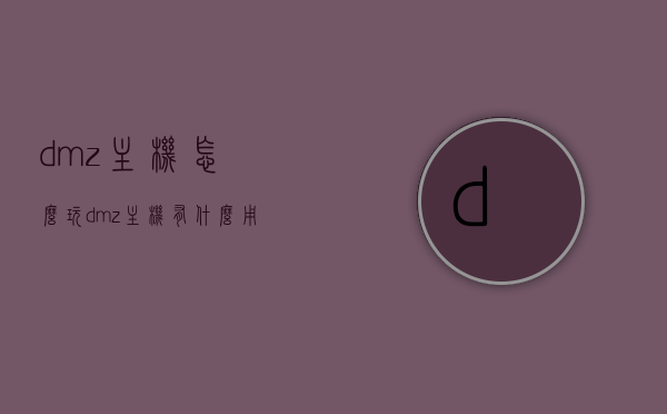 dmz主机怎么玩（dmz主机有什么用），DMZ主机的玩法与实用功能解析，DMZ主机的玩法与实用功能解析，从入门到精通，DMZ主机入门到精通，玩法、实用功能全解析