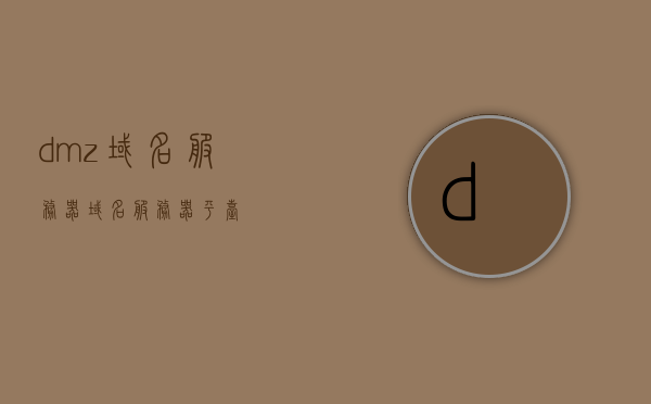 dmz域名服务器（域名服务器平台），DMZ域名服务器平台简介