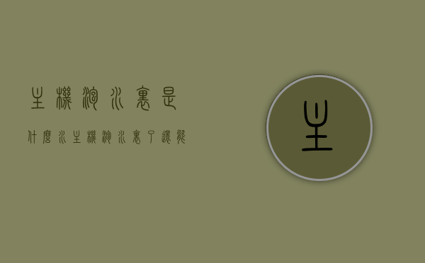 主机泡水里是什么水（主机泡水里了还能修得好吗），主机泡水后的处理与修复可能性探讨，水的影响及维修策略分析