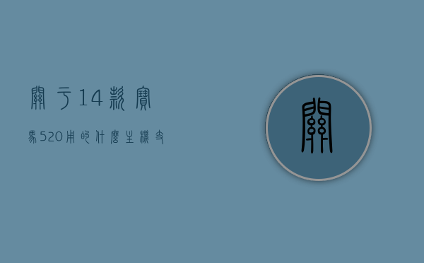 关于14款宝马520用的什么主机支架的信息，14款宝马520主机支架类型解析