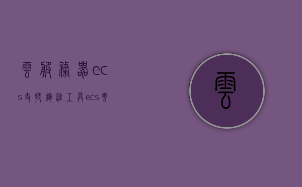 云服务器ecs支持运维工具（ecs云服务器可以干什么），云服务器ECS的运维工具功能及应用概述 第1张