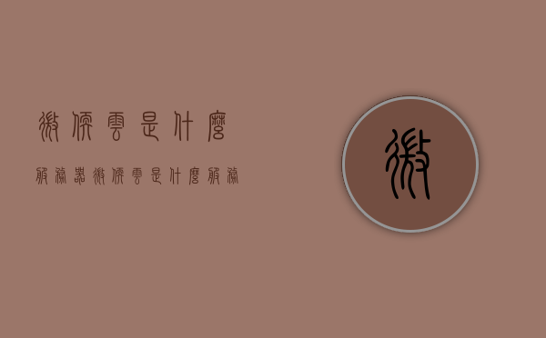 微软云是什么服务器（微软云是什么服务器啊），微软云，解析其服务器类型与功能