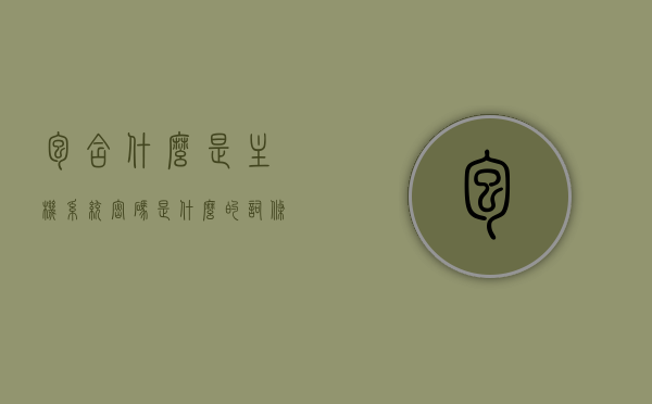 包含什么是主机系统密码是什么的词条，主机系统密码解析，概念及其重要性