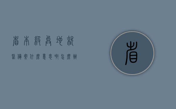 省本级异地就医备案什么意思啊怎么办（省本级异地就医备案什么意思啊怎么办），省本级异地就医备案详解，流程与操作指南，省本级异地就医备案详解，操作指南与备案流程全攻略！，省本级异地就医备案详解，操作指南与备案流程全攻略，省本级异地就医备案详解，操作指南与备案流程全攻略，快速了解备案流程与操作指引！