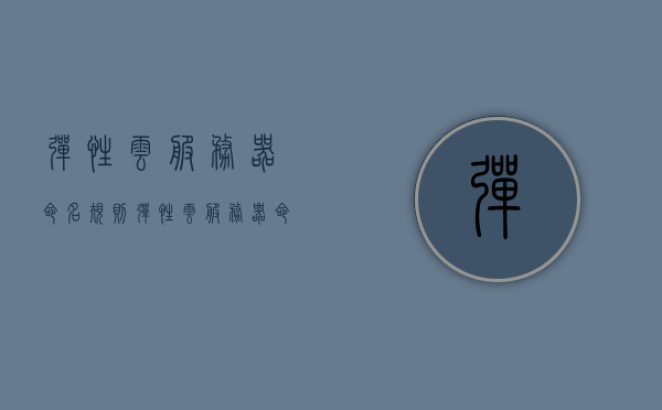 弹性云服务器命名规则（弹性云服务器命名规则是什么），弹性云服务器命名规则详解，命名规则及其特点解析，弹性云服务器命名规则详解，命名规则、特点与解析指南