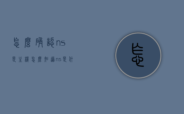 怎么确认ns是主机（怎么知道ns是什么版本的），如何确认Nintendo Switch（NS）版本及确认其为主机的指南，如何确定Nintendo Switch（NS）版本及确认其为主机的指南