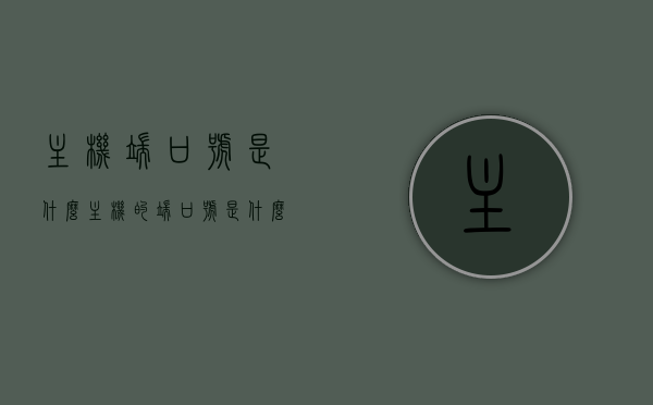 主机端口号是什么（主机的端口号是什么），主机端口号详解，定义、作用及重要性，主机端口号详解，定义、作用、重要性全解析