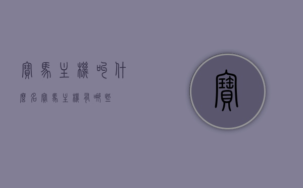 宝马主机叫什么名（宝马主机有哪些），宝马主机名称及种类概述，宝马主机名称及种类概览，了解宝马主机的种类与名称，宝马主机名称及种类概览，全面解析宝马主机的种类与名称，宝马主机名称及种类全面解析，概览与深度解析，宝马主机名称及种类深度解析与概览