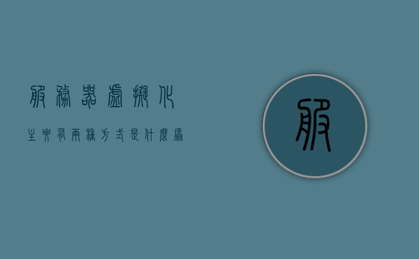 服务器虚拟化主要有两种方式是什么原理（服务器虚拟化的两种方式），服务器虚拟化的两种主要方式及其原理简述，服务器虚拟化两种主要方式及其原理简述，原理深度解析与简述