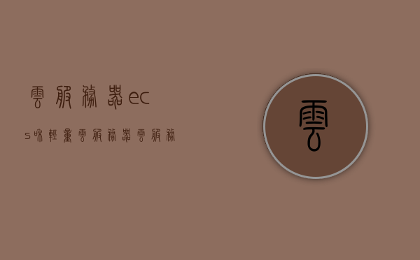 云服务器ecs和轻量云服务器（云服务器一年多少钱），云服务器ECS与轻量版，年度价格解析