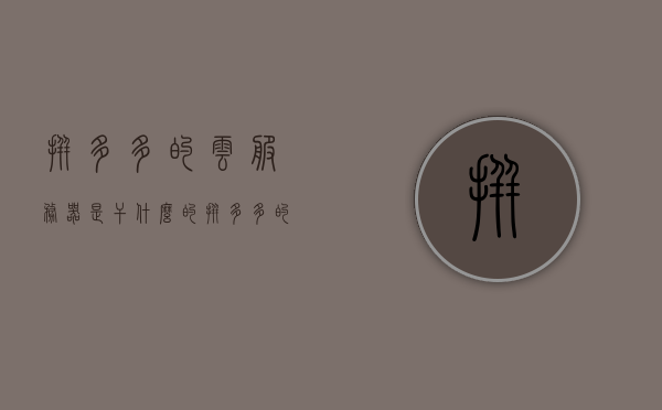 拼多多的云服务器是干什么的（拼多多的服务器是自己的吗），拼多多的云服务器功能及所有权解析，拼多多云服务器功能及所有权解析，探究拼多多的云服务器用途与所有权是否自有，探究拼多多云服务器的功能及所有权，自主拥有还是外部合作？