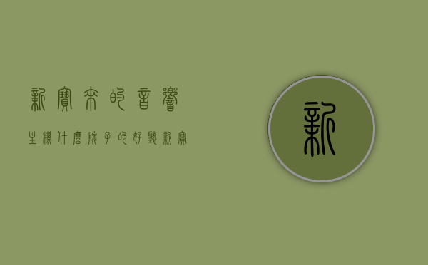 新宝来的音响主机什么牌子的好听（新宝来的音响主机什么牌子的好听点），新宝来音响主机品牌推荐，哪个牌子音质更佳？，新宝来音响主机品牌推荐，音质对比与品牌选择指南