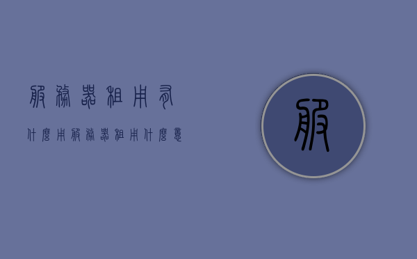 服务器租用有什么用（服务器租用什么意思），服务器租用，定义及其用途解析，服务器租用的定义及其用途解析，助力企业高效运营与发展，服务器租用的定义、用途及助力企业高效运营与发展解析