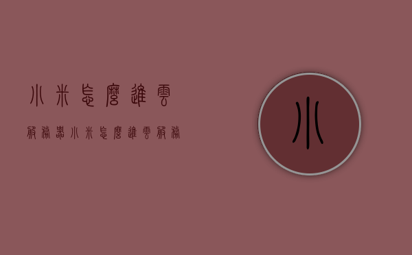 小米怎么进云服务器（小米怎么进云服务器里），小米如何进入云服务器，步骤详解