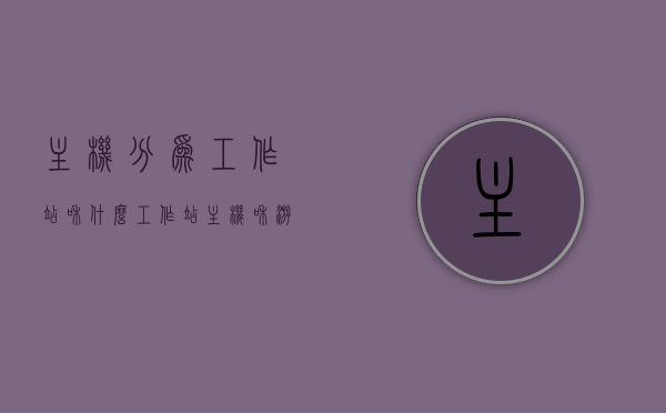 主机分为工作站和什么（工作站主机和游戏主机区别），主机分类揭秘，工作站与游戏主机的差异及特点概述