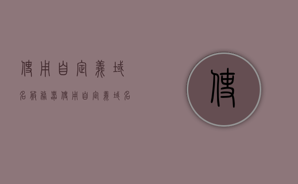 使用自定义域名服务器（使用自定义域名服务器怎么设置），自定义域名服务器的设置指南，自定义域名服务器设置指南，从选择到配置的全过程解析，自定义域名服务器设置全解析，从选择到配置的全过程指南