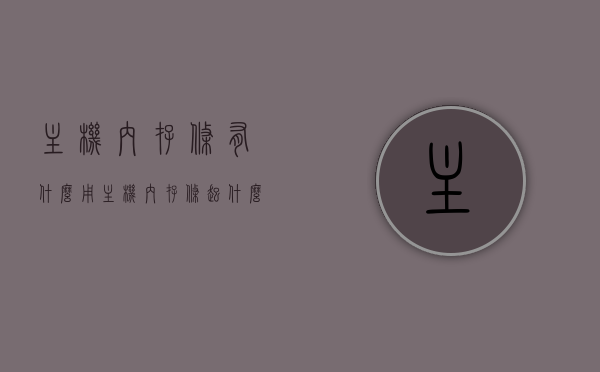 主机内存条有什么用（主机内存条起什么作用），主机内存条的作用与功能简介，主机内存条功能与作用的简介，内存条的实用性和重要性解析