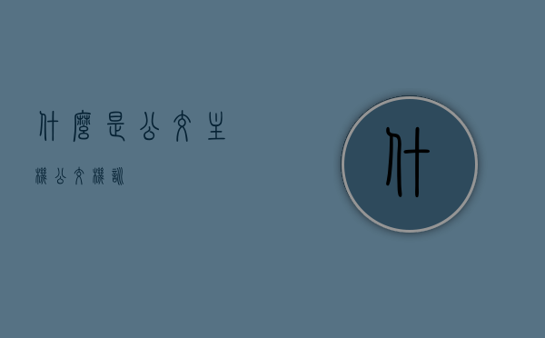 什么是公交主机（公交机训），公交主机（公交机训）详解，公交主机（公交机训）详解，概念与功能解析，公交主机（公交机训）详解，概念、功能全面解析