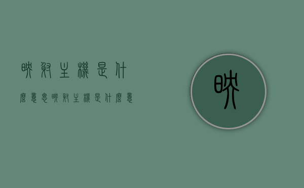 映射主机是什么意思（映射主机是什么意思啊），映射主机的含义解析