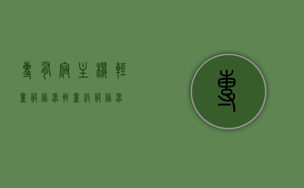 专有宿主机轻量服务器（轻量级服务器），轻量级专有宿主机服务器概览，轻量级专有宿主机服务器概览，特性、优势与应用解析