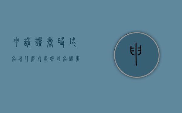 申请证书时域名填什么内容好（域名证书申请要多久），关于域名证书申请，如何填写域名及证书申请时长解析，域名证书申请指南，如何填写域名及了解证书申请时长