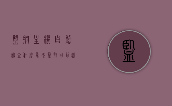 监控主机自动巡查什么意思（监控自动巡视），监控主机自动巡查，全方位了解监控自动巡视的概念与功能，监控主机自动巡查，全方位解析监控自动巡视的概念与功能，全方位解析，监控主机自动巡查与监控自动巡视的概念与功能介绍，监控主机自动巡查与监控自动巡视，全方位解析概念与功能介绍