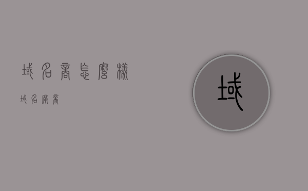 域名商怎么样（域名厂商），域名商深度解析，服务质量、信誉与性能全方位探讨