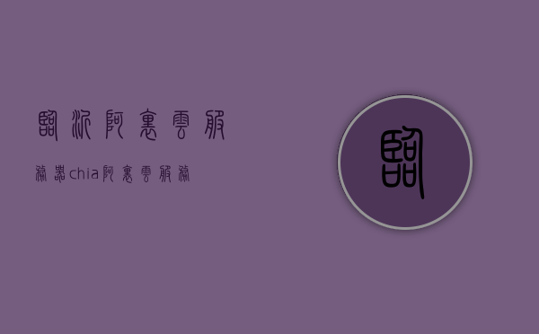 临沂阿里云服务器（chia阿里云服务器），临沂与Chia的阿里云服务器概览，临沂与Chia的阿里云服务器概览介绍，临沂与Chia的阿里云服务器概览，服务器概览介绍及功能特点分析