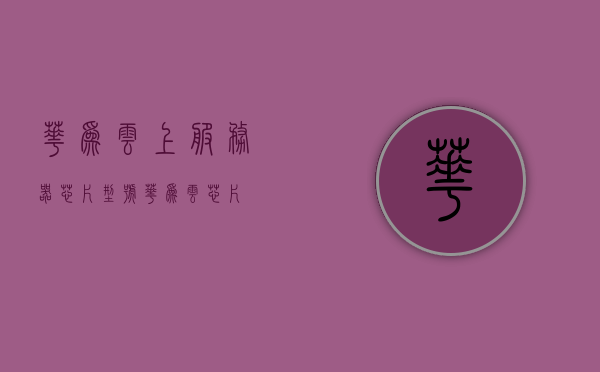 华为云上服务器芯片型号（华为云 芯片），华为云服务器芯片型号详解，探索云上计算的力量（华为云芯片概览）