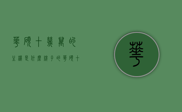 华硕十几万的主机是什么牌子的（华硕十几万的主机是什么牌子的笔记本），华硕高价主机品牌揭秘，十几万的主机笔记本究竟是何方神圣？，华硕高价主机笔记本品牌揭秘，十几万的主机究竟是何方神圣？，华硕高价主机笔记本品牌揭秘，神秘十几万主机究竟是何方神圣？，华硕高价主机笔记本品牌揭秘，神秘十几万主机探秘，注，标题已经简洁明了地表达了文章的核心内容，即探讨华硕高价主机笔记本的品牌揭秘以及关于十几万主机的神秘之处。