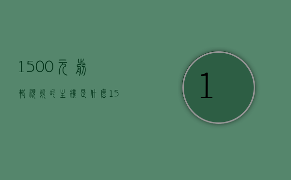 1500元剪辑视频的主机是什么（1500元剪辑视频的主机是什么品牌），揭秘，预算仅1500元，哪些品牌主机适合视频剪辑？