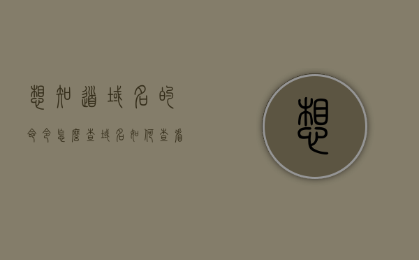 想知道域名的命令怎么查（域名如何查看），如何查询域名信息，域名查询方法与步骤解析
