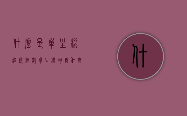什么是单主机连接总数（单主机包括什么），单主机连接总数解析，定义、内容及要点，单主机连接总数解析，定义、内容与要点介绍标题建议，单主机连接总数的深度解析，定义、内容与要点探讨。 ​​这个标题涵盖了您提到的所有内容，包括单主机连接总数的定义、解析以及要点等。