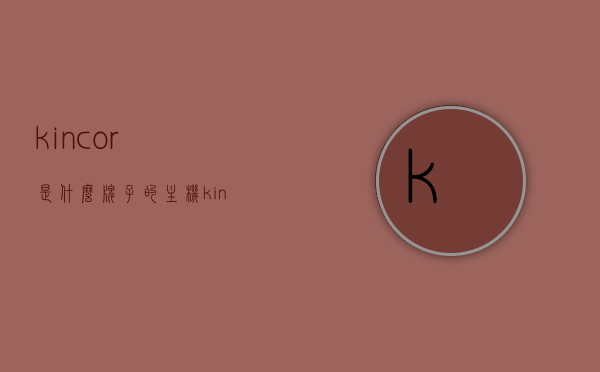 kincor是什么牌子的主机（kincho是什么牌子），Kincor（或Kincho）品牌主机简介，Kincor（Kincho）品牌主机简介及品牌来源解析，Kincor（Kincho）品牌主机简介及其品牌来源解析，Kincor（Kincho）品牌主机详解，品牌来源、特点及简介