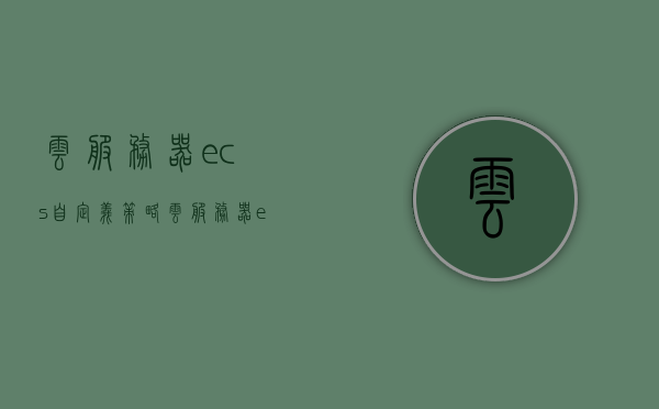 云服务器ecs自定义策略（云服务器ecs自定义策略怎么用），云服务器ECS自定义策略详解及使用方法指南