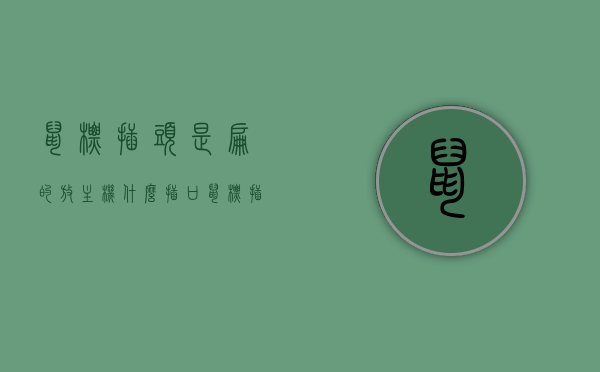 鼠标插头是扁的放主机什么插口（鼠标插头是扁的放主机什么插口里），扁头鼠标插头应插入主机的哪个插口？