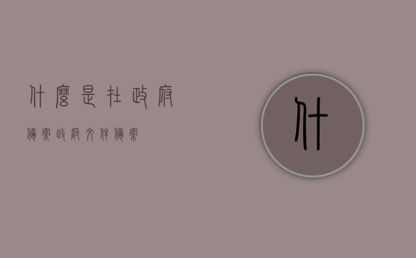 什么是在政府备案（政府文件备案），政府备案（政府文件备案）详解，政府备案（政府文件备案）详解，概念与流程解析