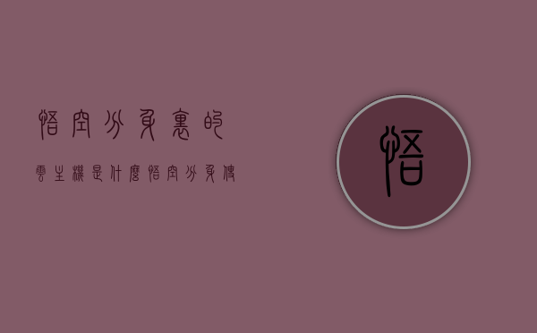悟空分身里的云主机是什么（悟空分身使用说明），悟空分身里的云主机详解，使用说明与探索
