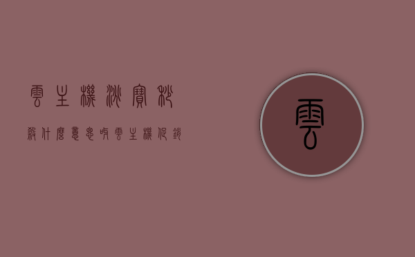 云主机淘宝秒杀什么意思呀（云主机促销），云主机淘宝秒杀及促销详解
